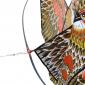 RIBIMEX® - CERF-VOLANT EFFAROUCHEUR D’OISEAUX MODÈLE FAUCON – 3,70 M